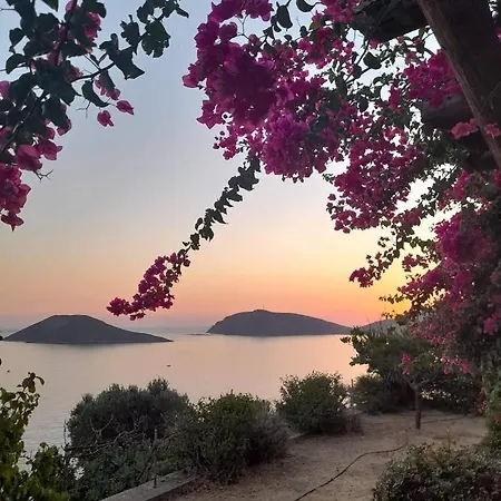 Apartment Niotis Skalia