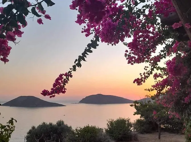 아파트 Niotis Skaliá